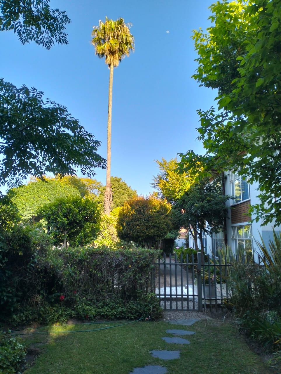 9 on York — George